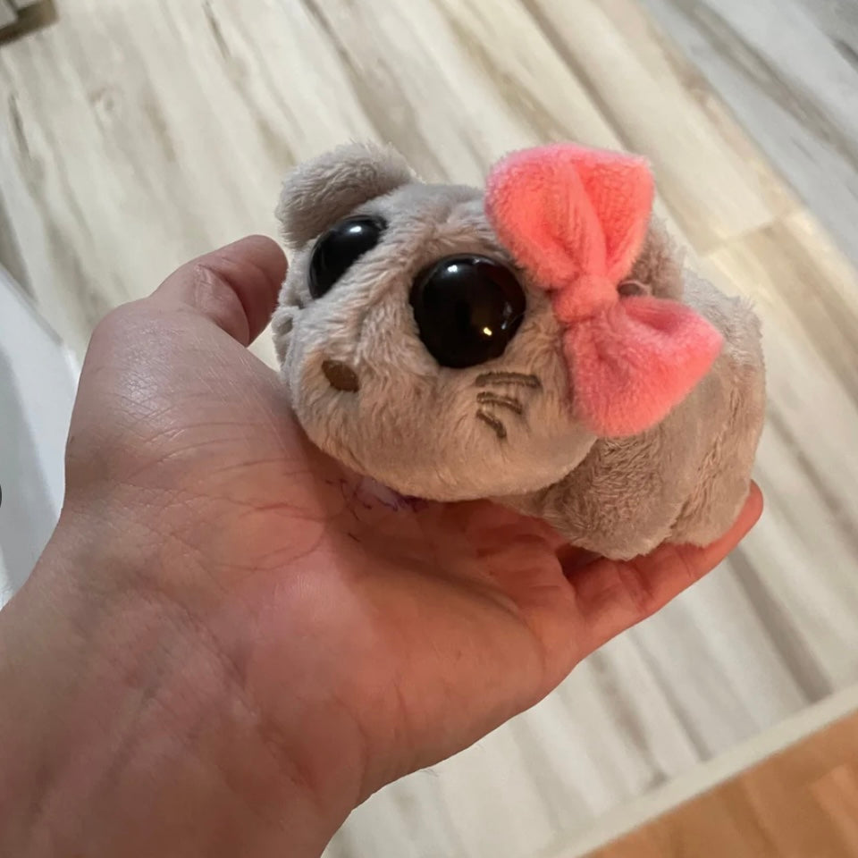 Hamsti Duo Set
